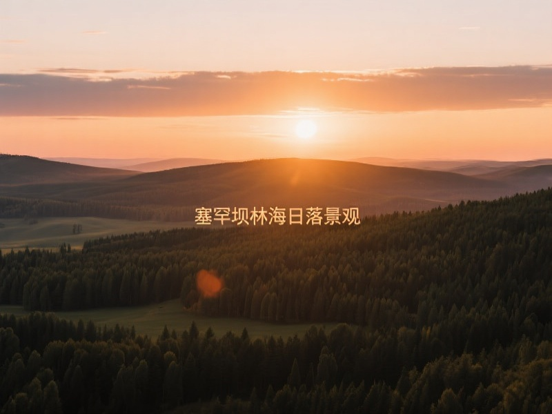 塞罕坝精神传承培训方法