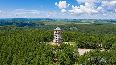塞罕坝